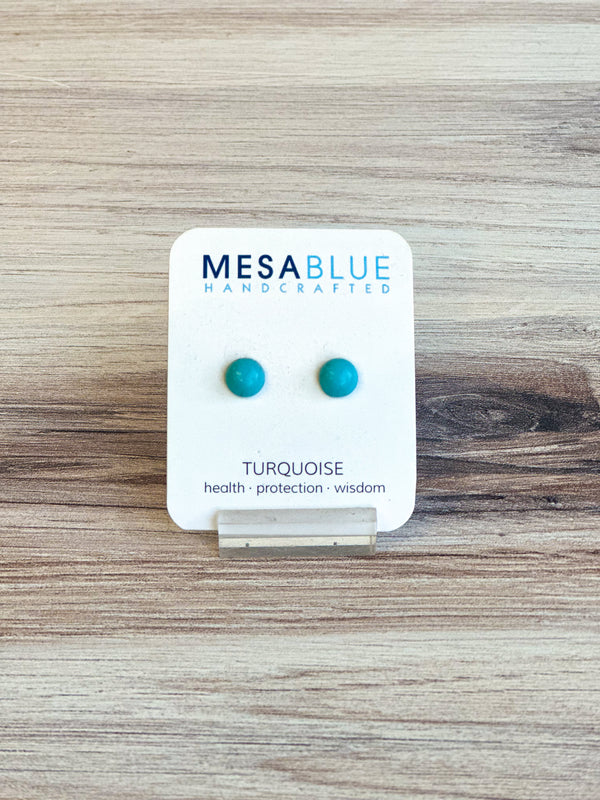 Howlite Turquoise Stud Earrings