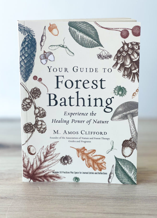 Your Guide To Forest Bathing